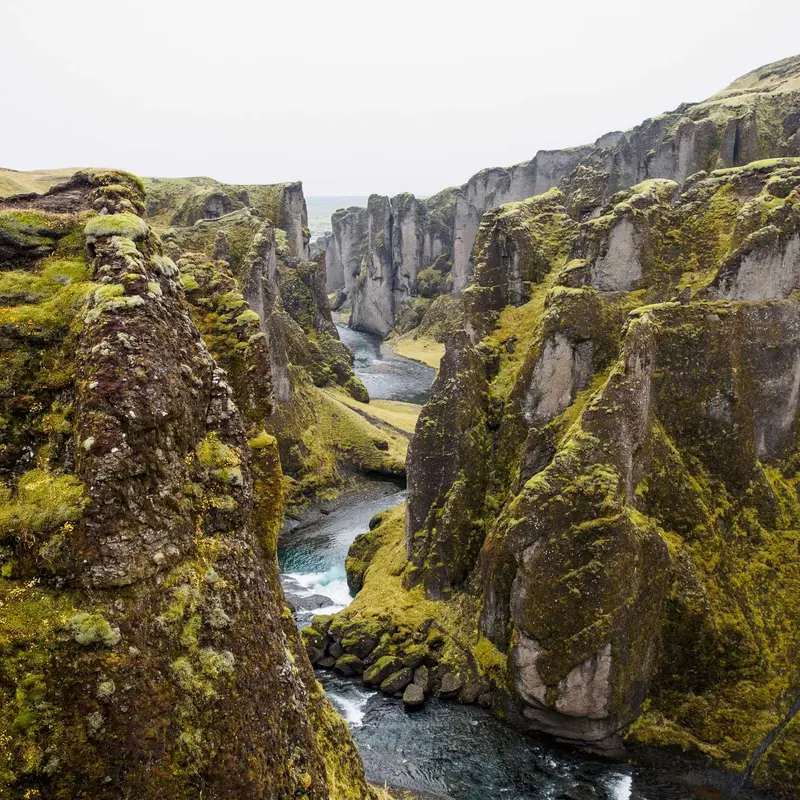 独家娱报