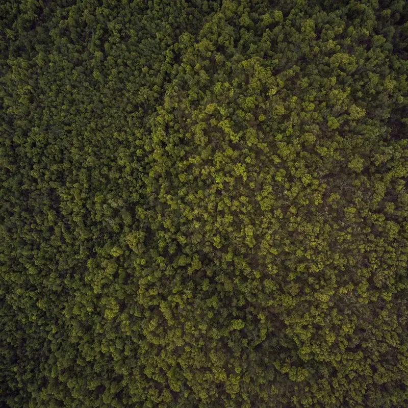 独家娱报